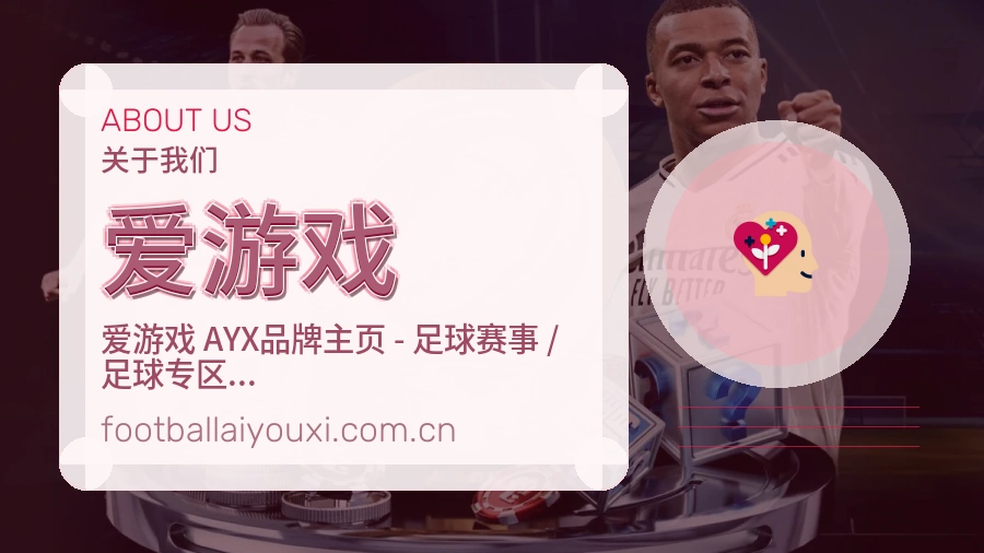 爱游戏平台简介